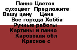 Панно Цветок - сухоцвет. Предложите Вашу цену! › Цена ­ 4 000 - Все города Хобби. Ручные работы » Картины и панно   . Кировская обл.,Красное с.